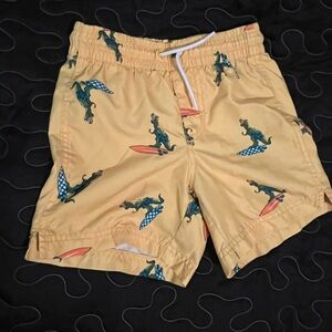 Dinosaur Print Swim Shorts